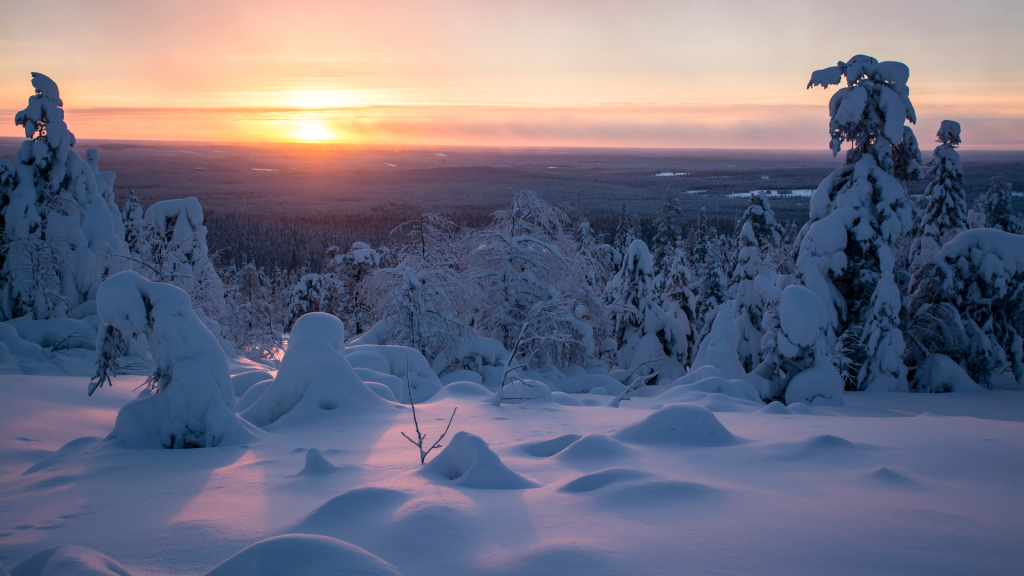 What Are Arctic Fires and What Causes Them What Are Arctic Fires and What Causes Them