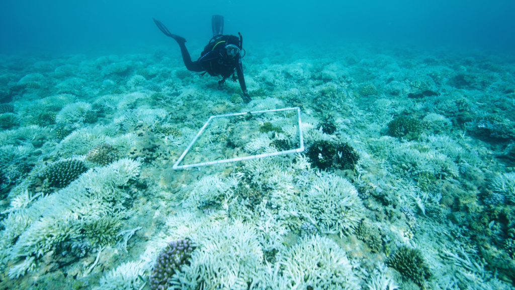 Why Marine Science Is Crucial for Planetary Health: Understanding Its Impact on Global Ecosystems